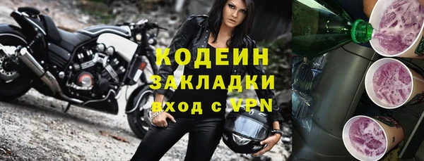 ПСИЛОЦИБИНОВЫЕ ГРИБЫ Арсеньев