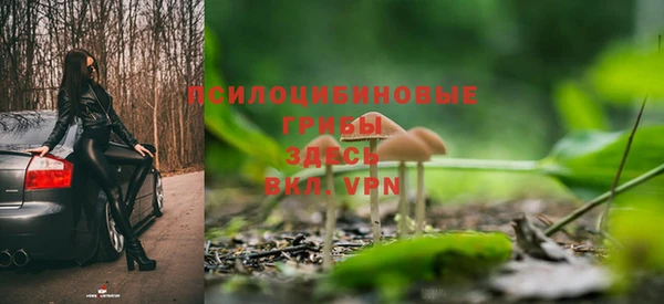 ПСИЛОЦИБИНОВЫЕ ГРИБЫ Арсеньев