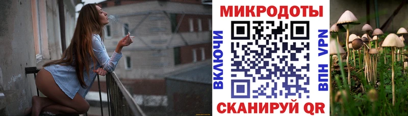 это как зайти  гидра   Боровск  Галлюциногенные грибы мицелий 